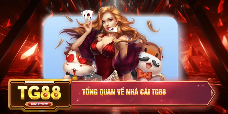 Tổng Quan Về Nhà Cái TG88